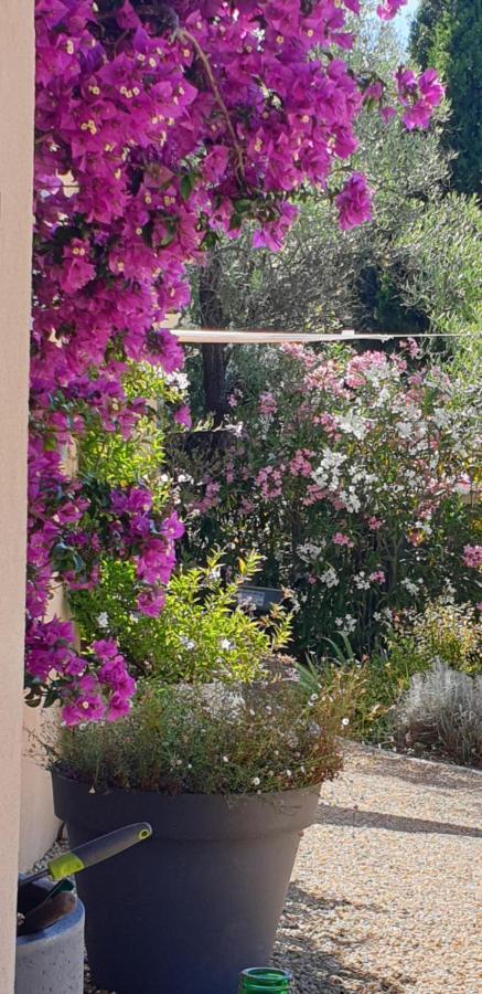 La Bastide Aux Oliviers Hotel Tourrettes-sur-Loup Exterior foto