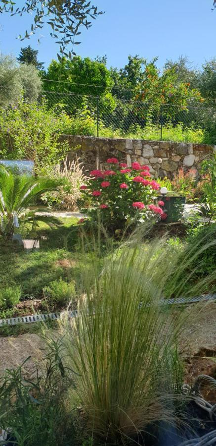 La Bastide Aux Oliviers Hotel Tourrettes-sur-Loup Exterior foto